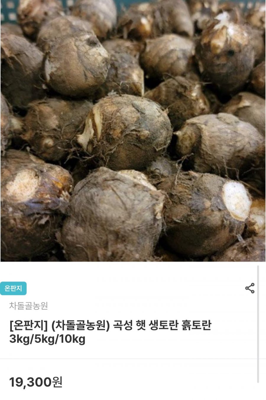 곡성 햇 생토란 흙토란 3kg (9,650원/무료)