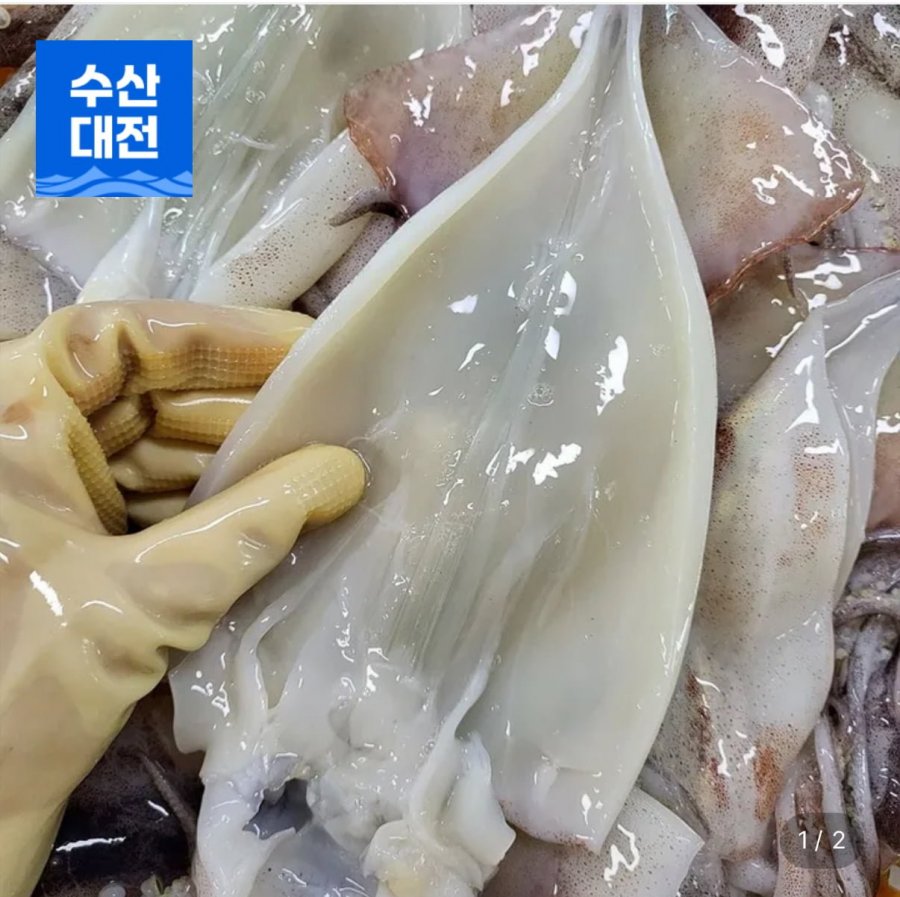손질통오징어 10마리 220g 5팩 (16,610원/무배)
