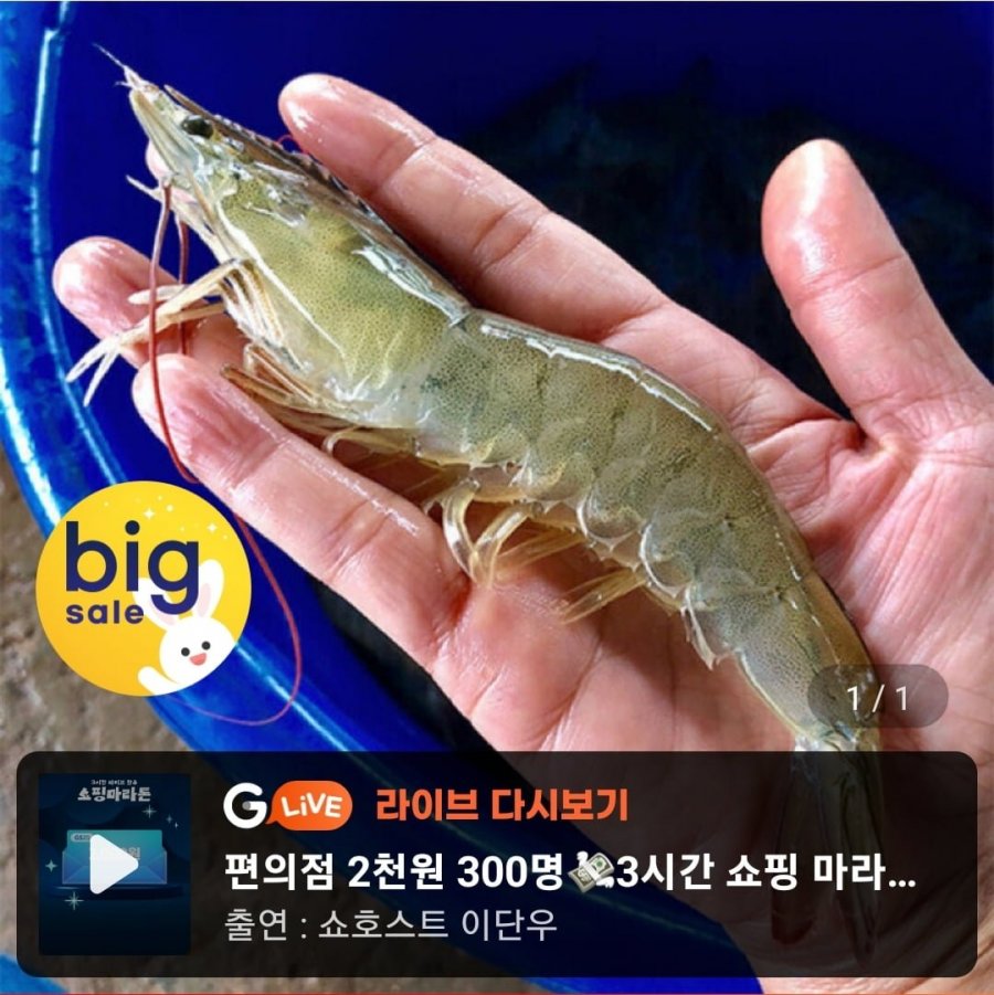 국내산 제철 흰다리 왕새우 1kg(30미 내외) (19,860원/무배)