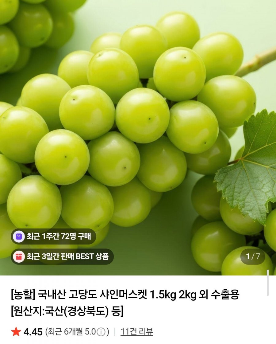 16brix당도선별 특품 샤인머스켓 2kg 2~4수 (10,990원/무료배송)