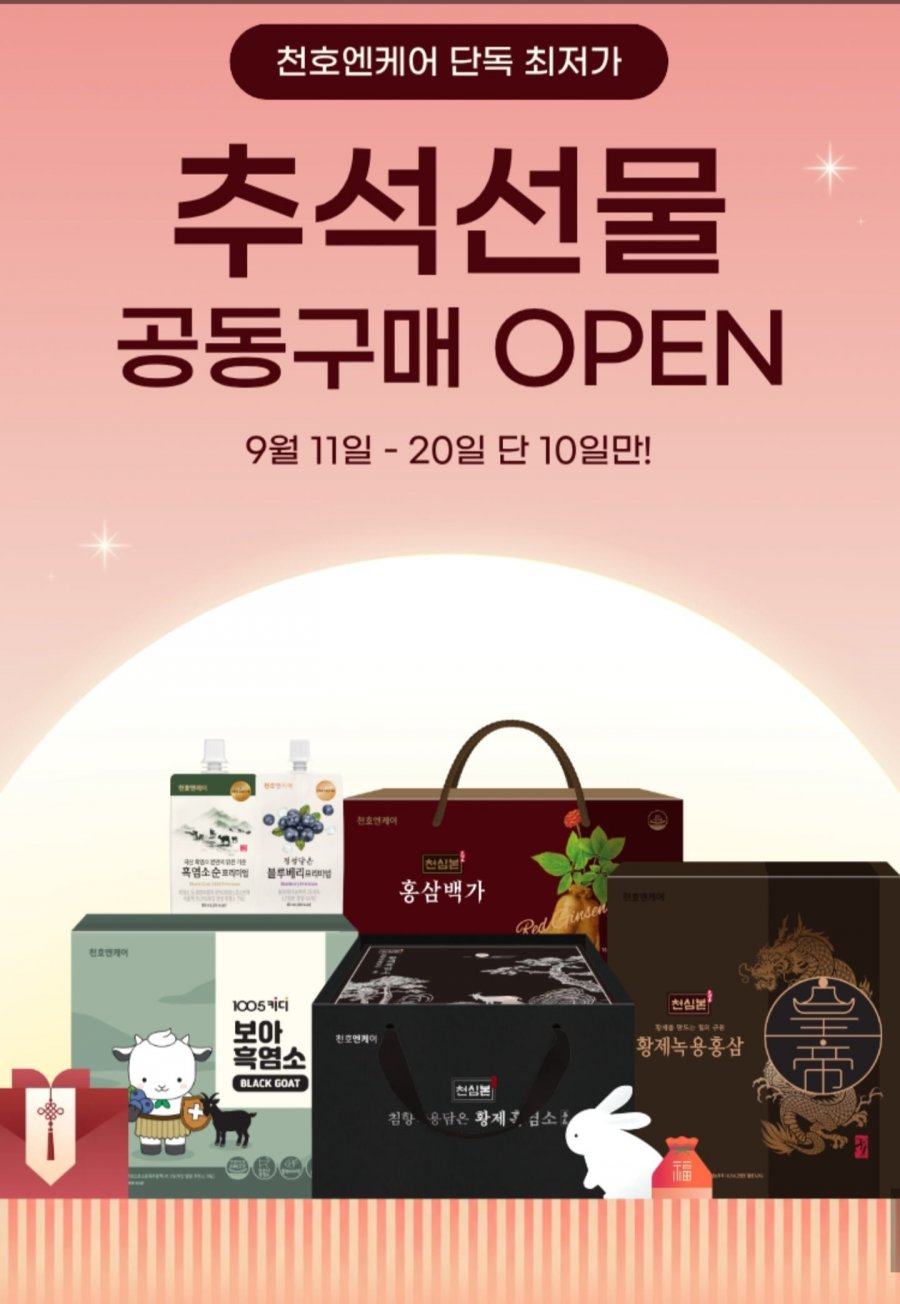 천호앤케어 블루베리 프리미엄 3박스 (80ml x 90팩) (99,000원/무료)