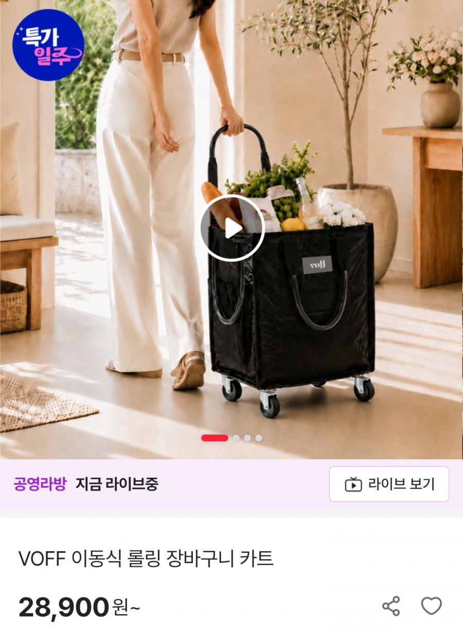 이동식 롤링 장바구니 카트 (28,900원/무료배송)