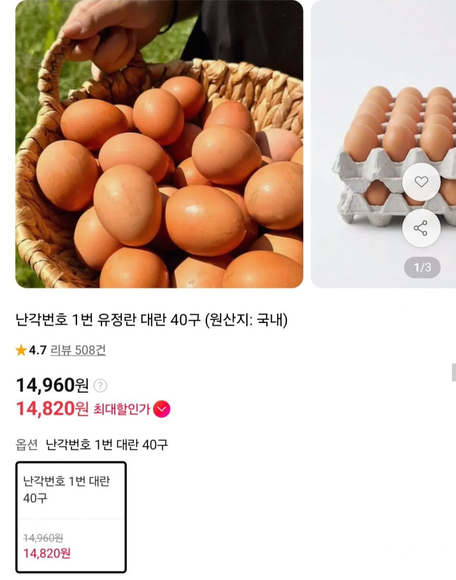 난각번호 1번 유정란 대란 40구 (14,960원/무배)