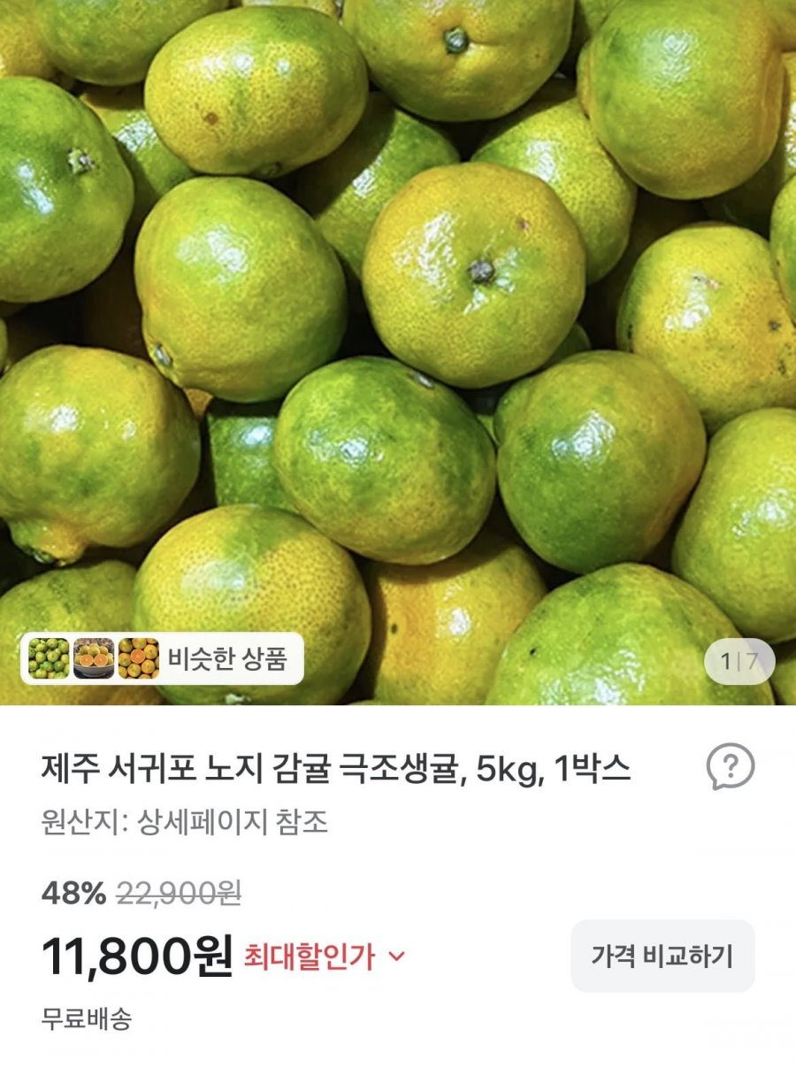 제주 서귀포 노지 감귤 5kg (10,900원/무배)