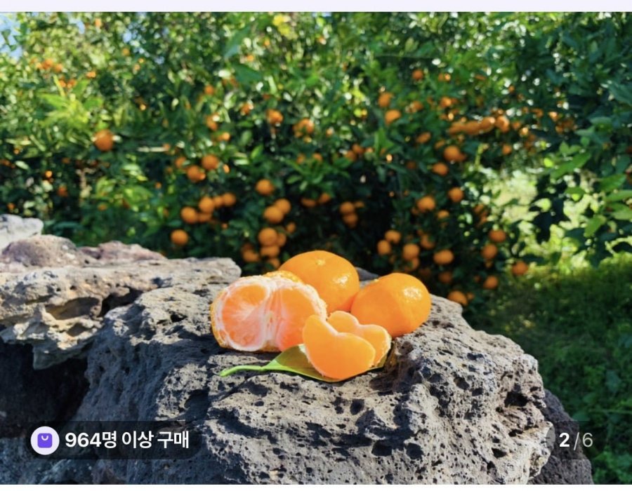 극조생 노지감귤 3kg 꼬마과 (9,900원/무료배송)