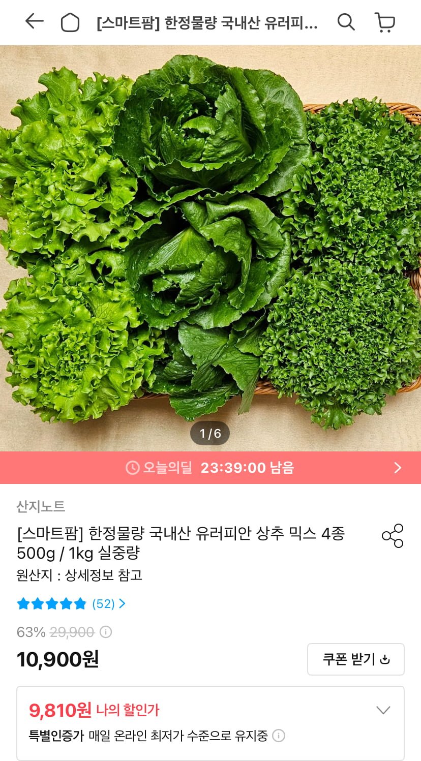국내산 유러피안 상추 믹스 4종 1kg (9,810원/무료)