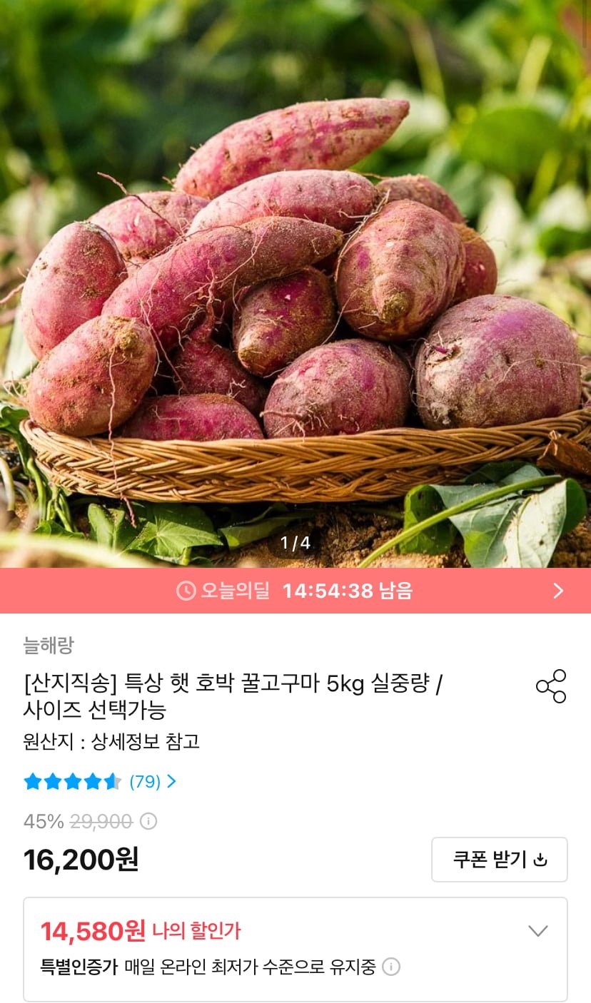 특상 햇 호박 꿀고구마 5kg (14,580원/무료)