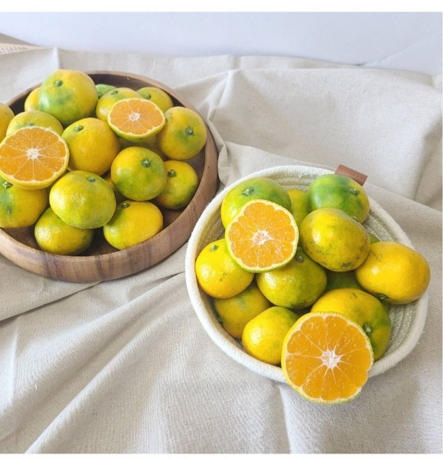 제주 햇 극조생 감귤 4.5kg/9kg(실중량) (7,870원~/무료)