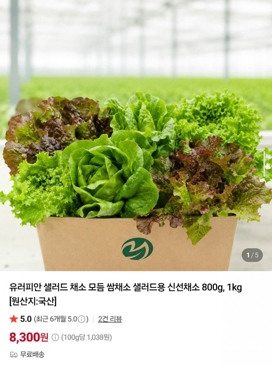 유러피안 샐러드 모듬 쌈채소 1kg (9,300원/무료)