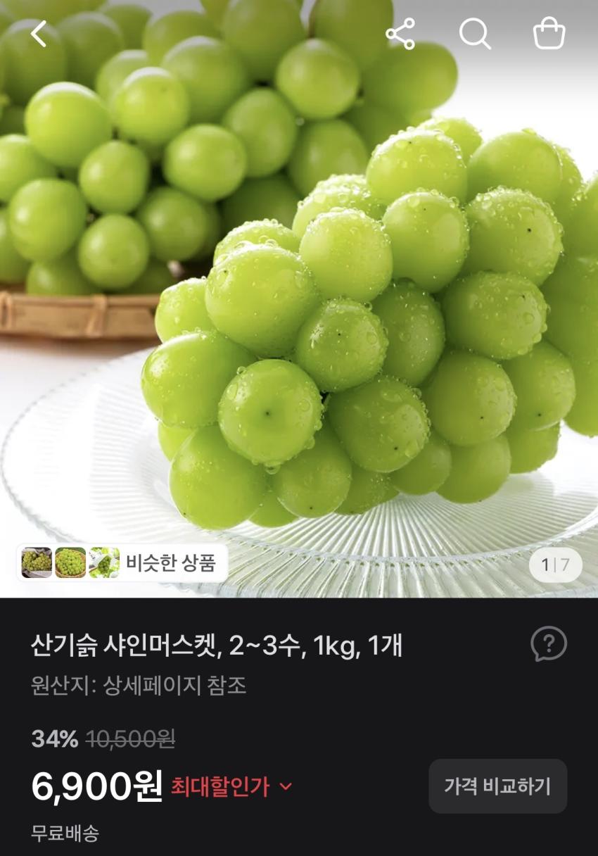 샤인머스켓 2~3수 1kg 6,900원