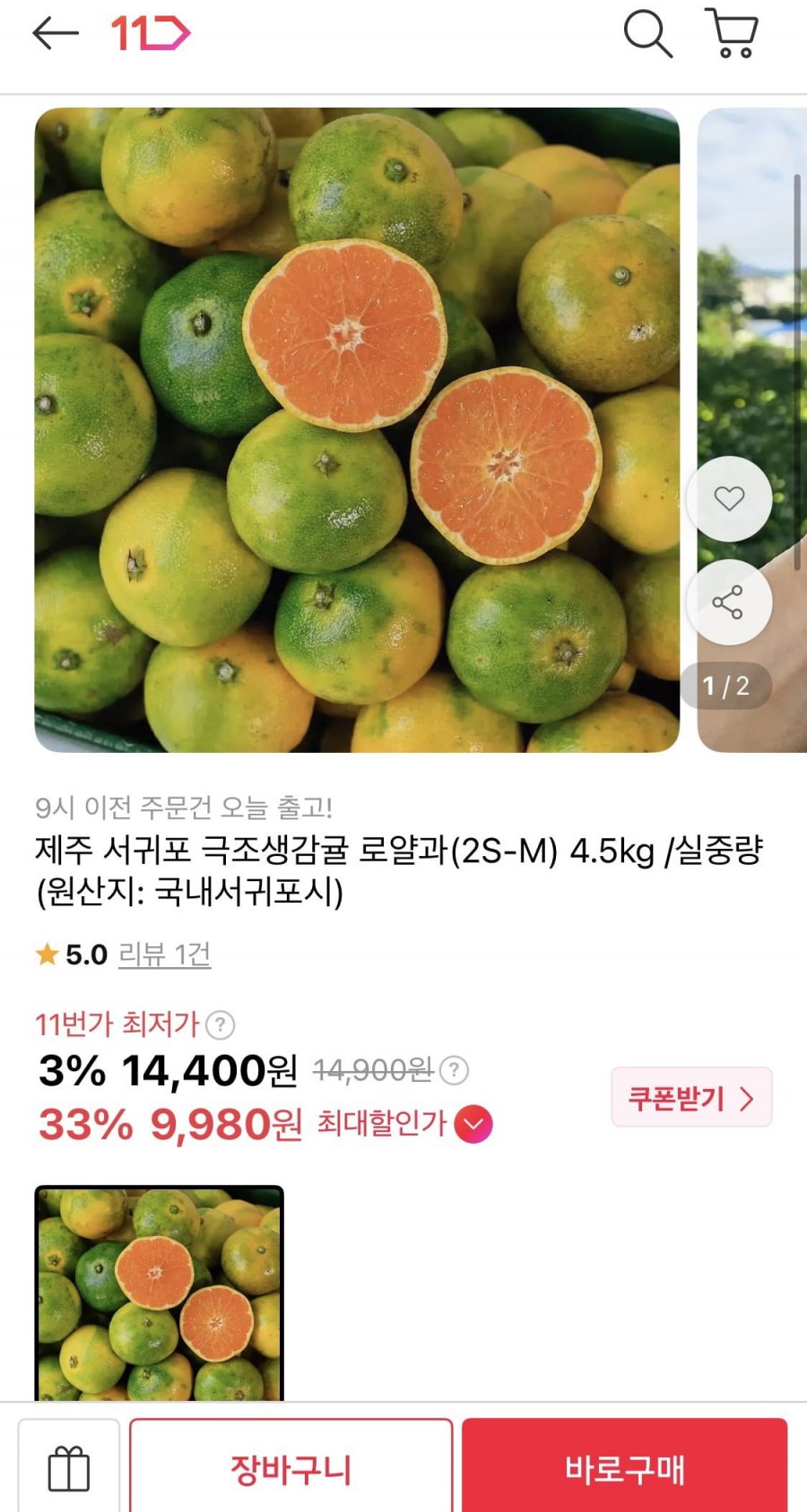 제주 서귀포 극조생감귤 로얄과 4.5kg (9,980원/무료배송)