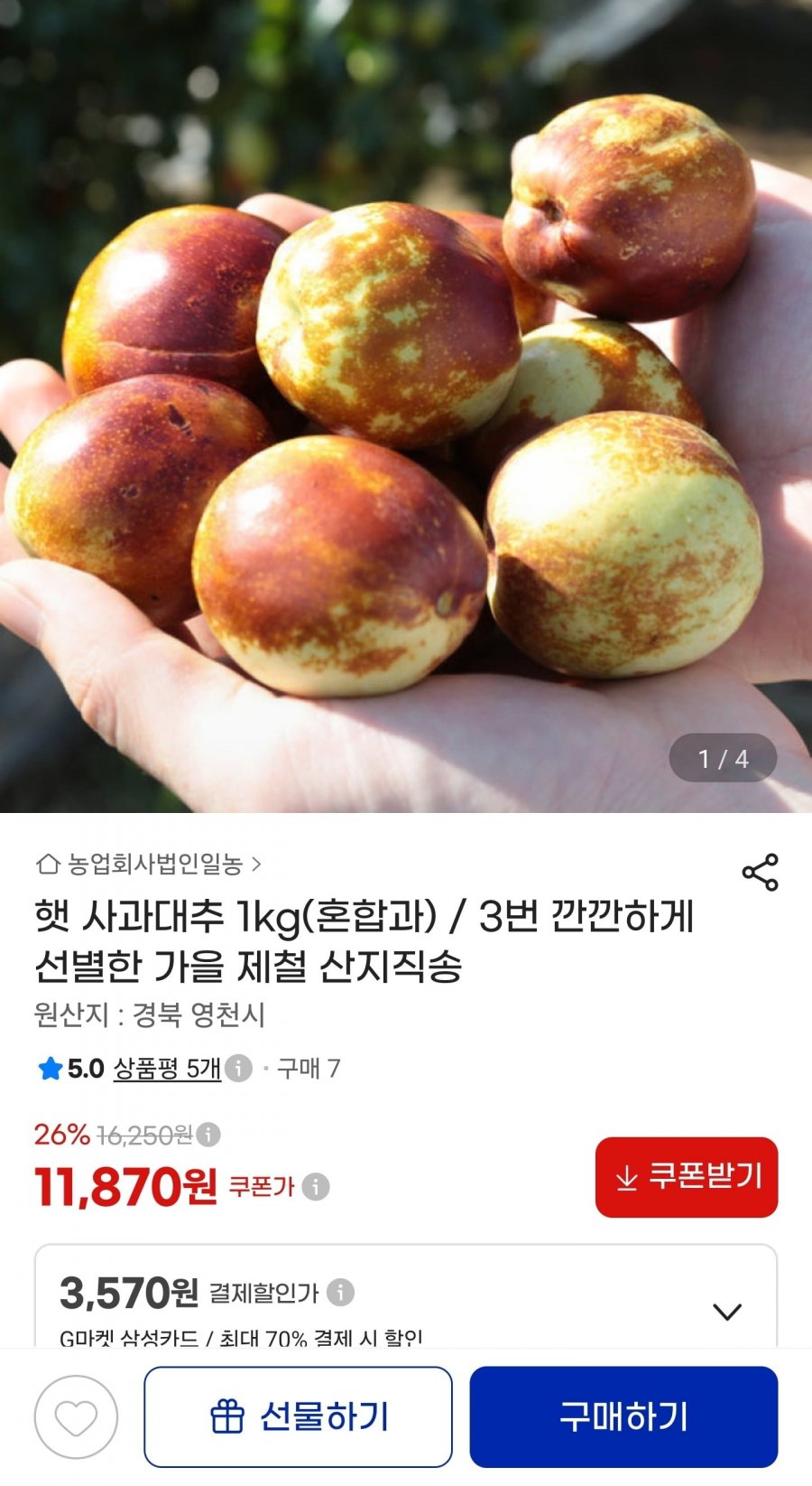 햇 사과대추 1kg (혼합과) (11,870원/무료)