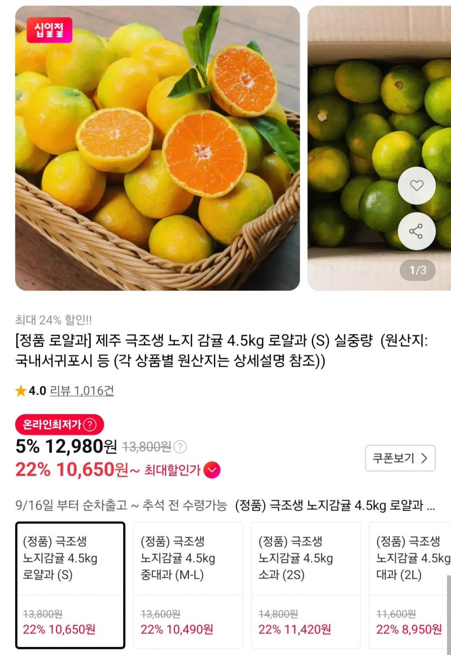 제주 극조생 노지 감귤 로얄과 4.5kg (10,650원/무료)