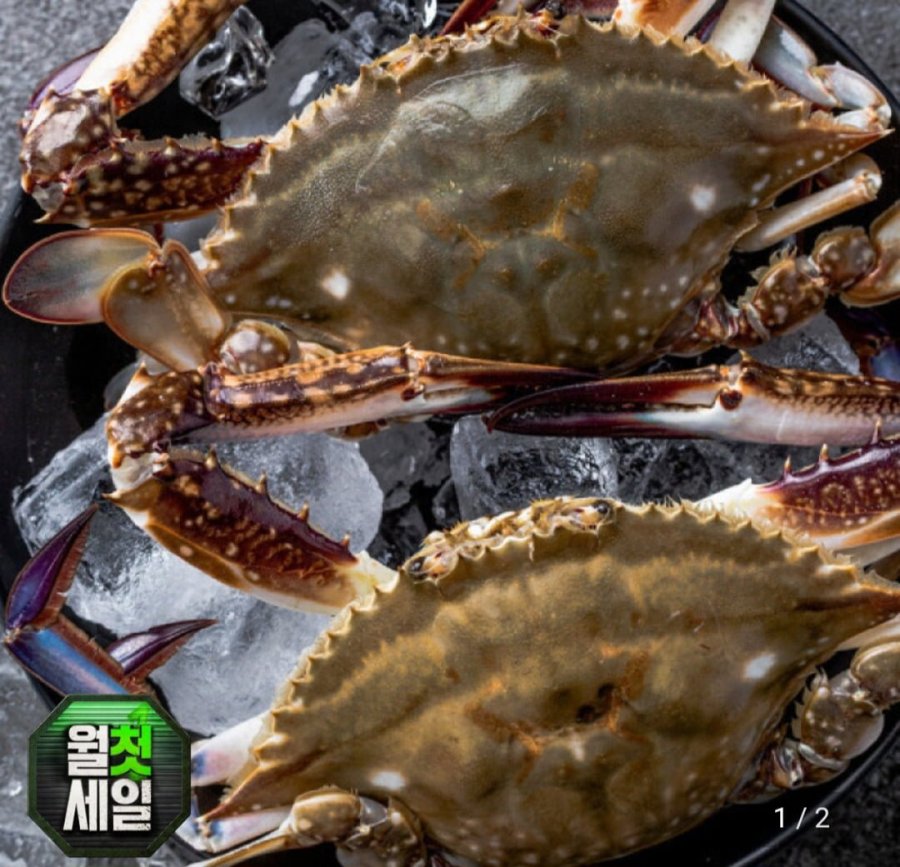 꽃게 수꽃게 2kg (21,990원 / 무료)
