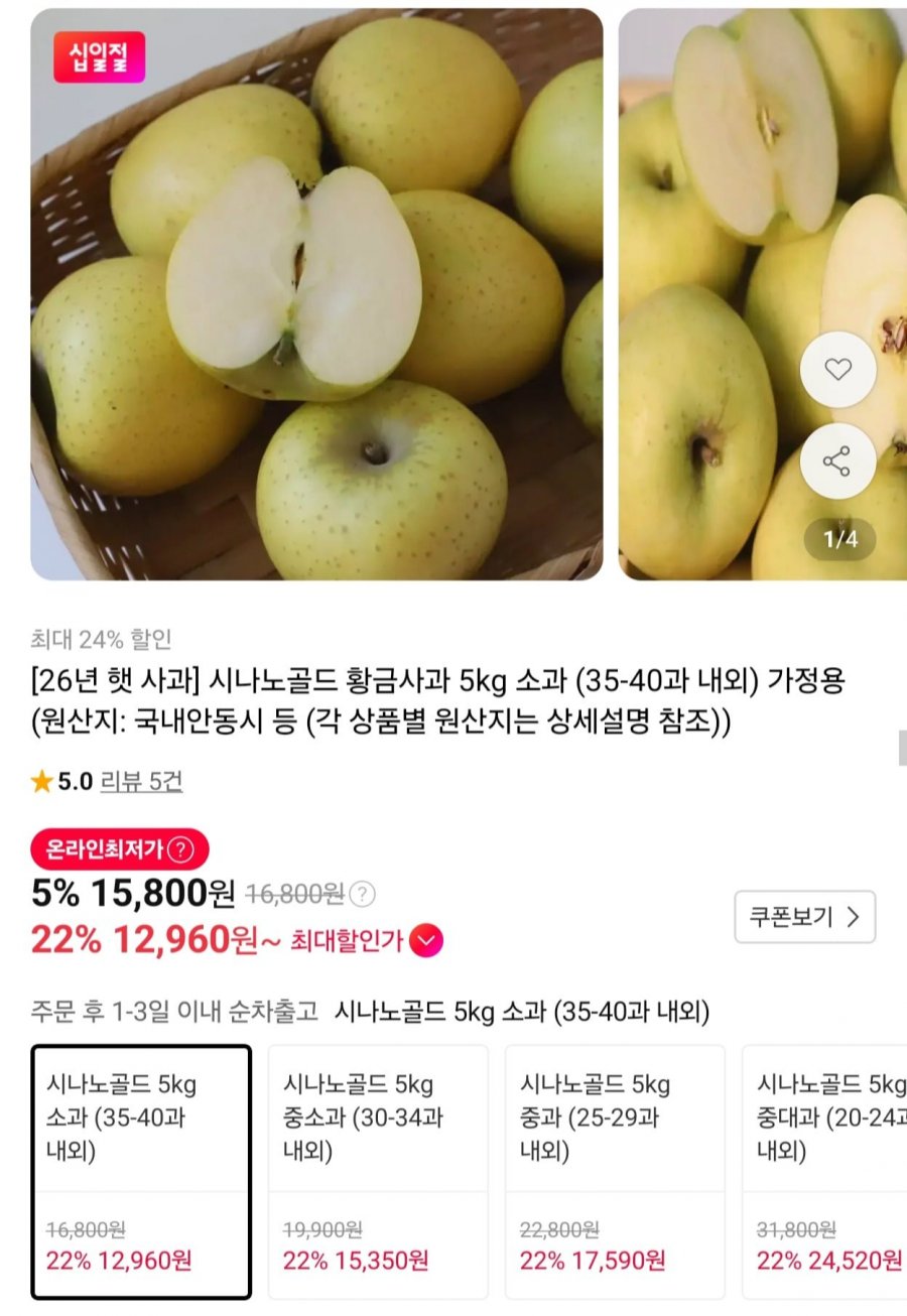 시나노골드 황금사과 가정용 5kg 소과 (12,960원/무료)