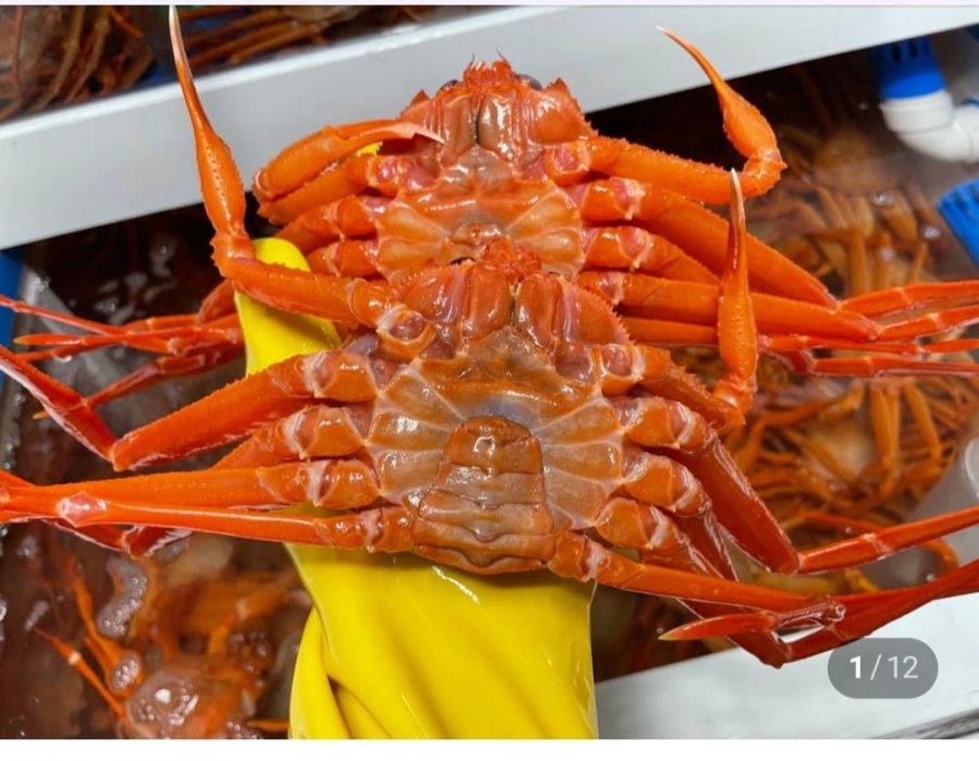 국산 울진 자숙 홍게4kg (23,900원/무료)