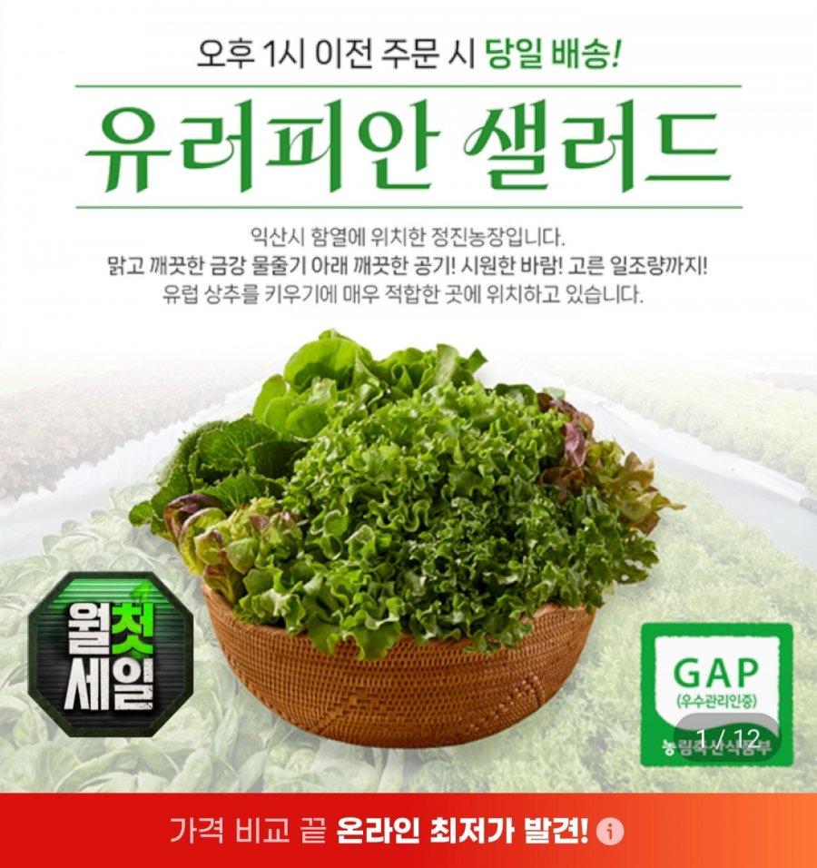 샐러드상추쌈채소 5~6종 1kg (8,480원/무료)