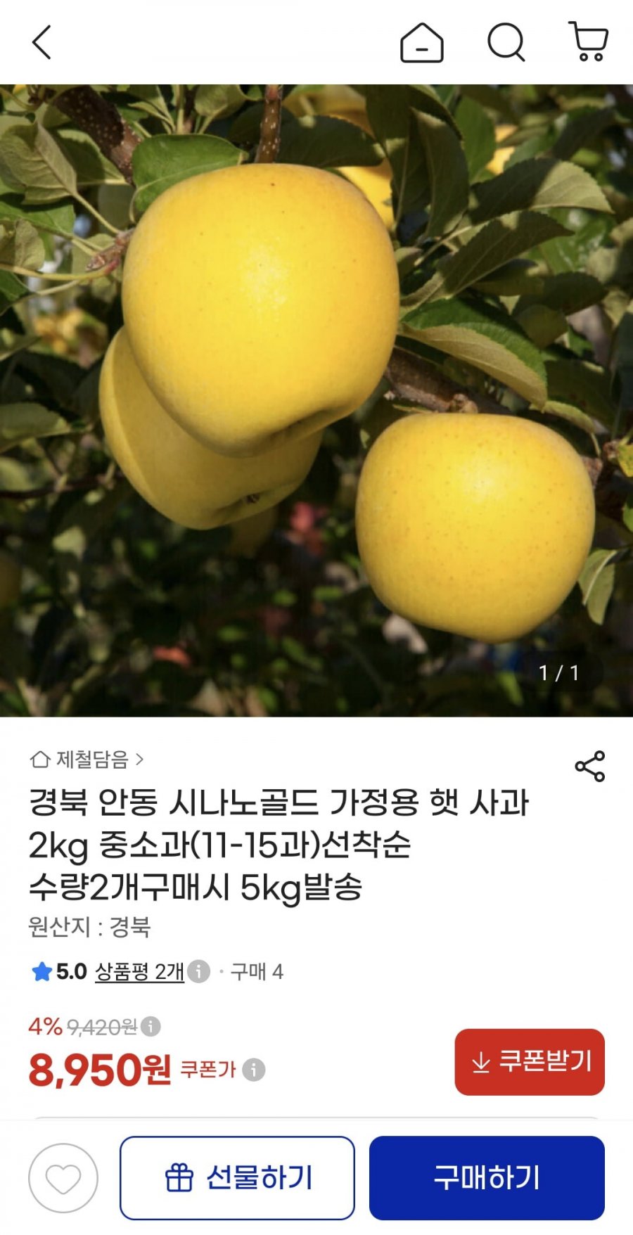 경북 안동 시나노골드 가정용 햇 사과 2kg 중소과 (8,950원/무료)
