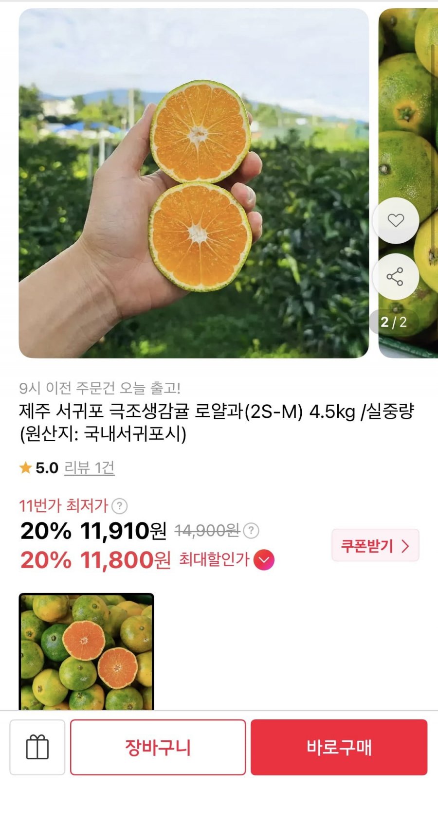 제주 서귀포 극조생감귤 로얄과 4.5kg (11,910원/무배)