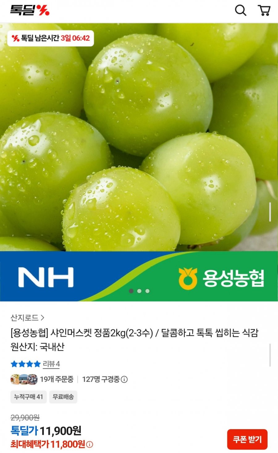 용성농협 샤인머스켓 정품 2kg 2~3수 (11,900원/무료)
