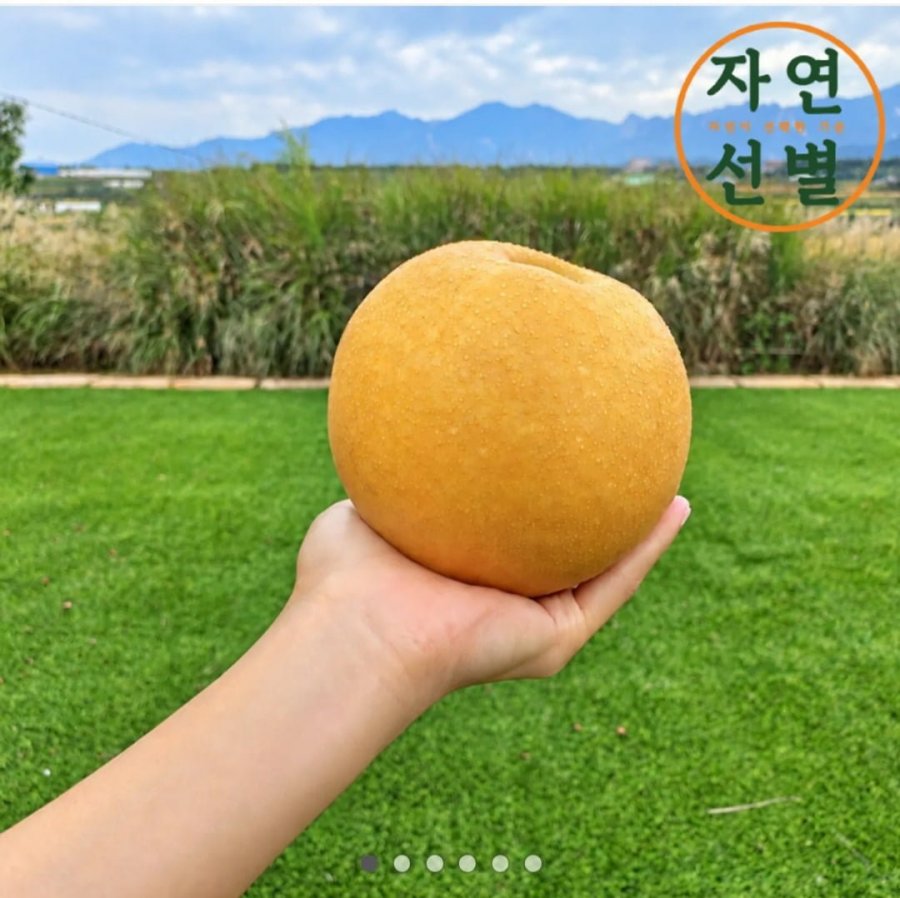 2026 햇배 대과 2.5kg (8,750원 / 무료배송)