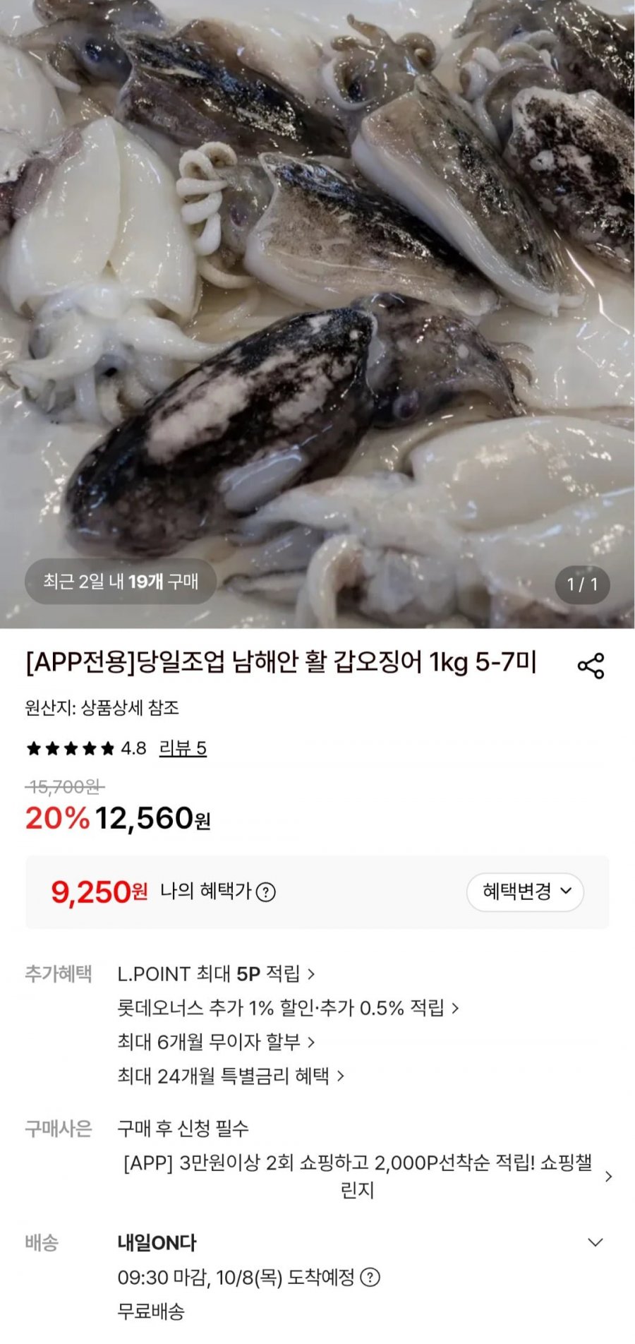당일조업 남해안 활 갑오징어 1kg 5-7미 (네페 9,250원/무배)