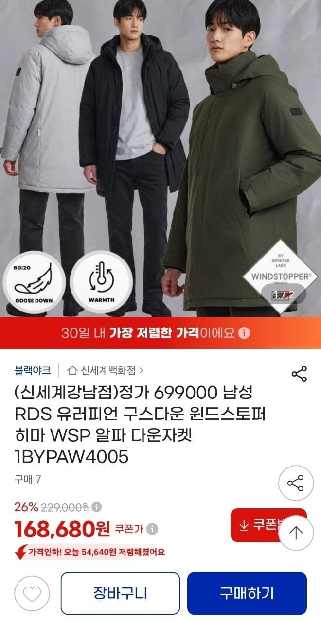 윈드스토퍼 RDS 구스다운 히마 WSP 알파 다운자켓 (168,680원/무료)