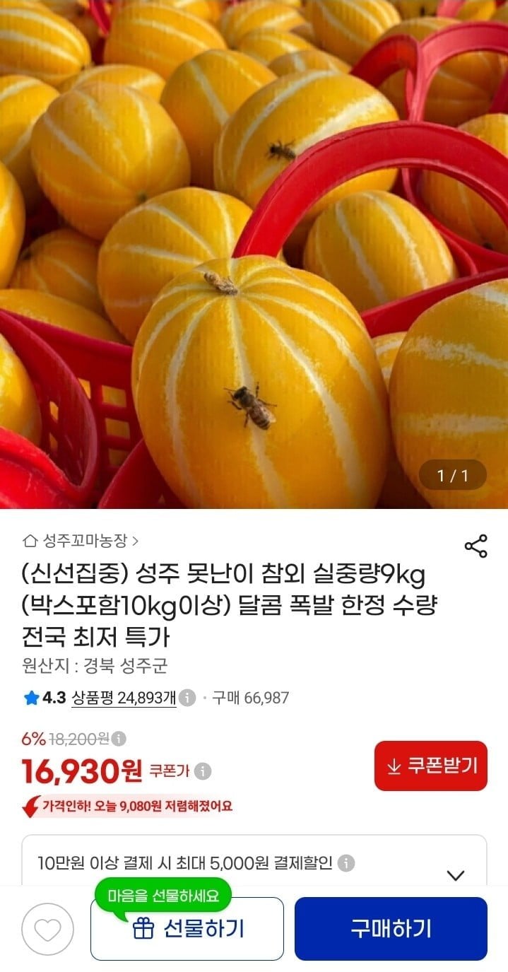 못난이 참외 실중량9kg (16,930원/무료)