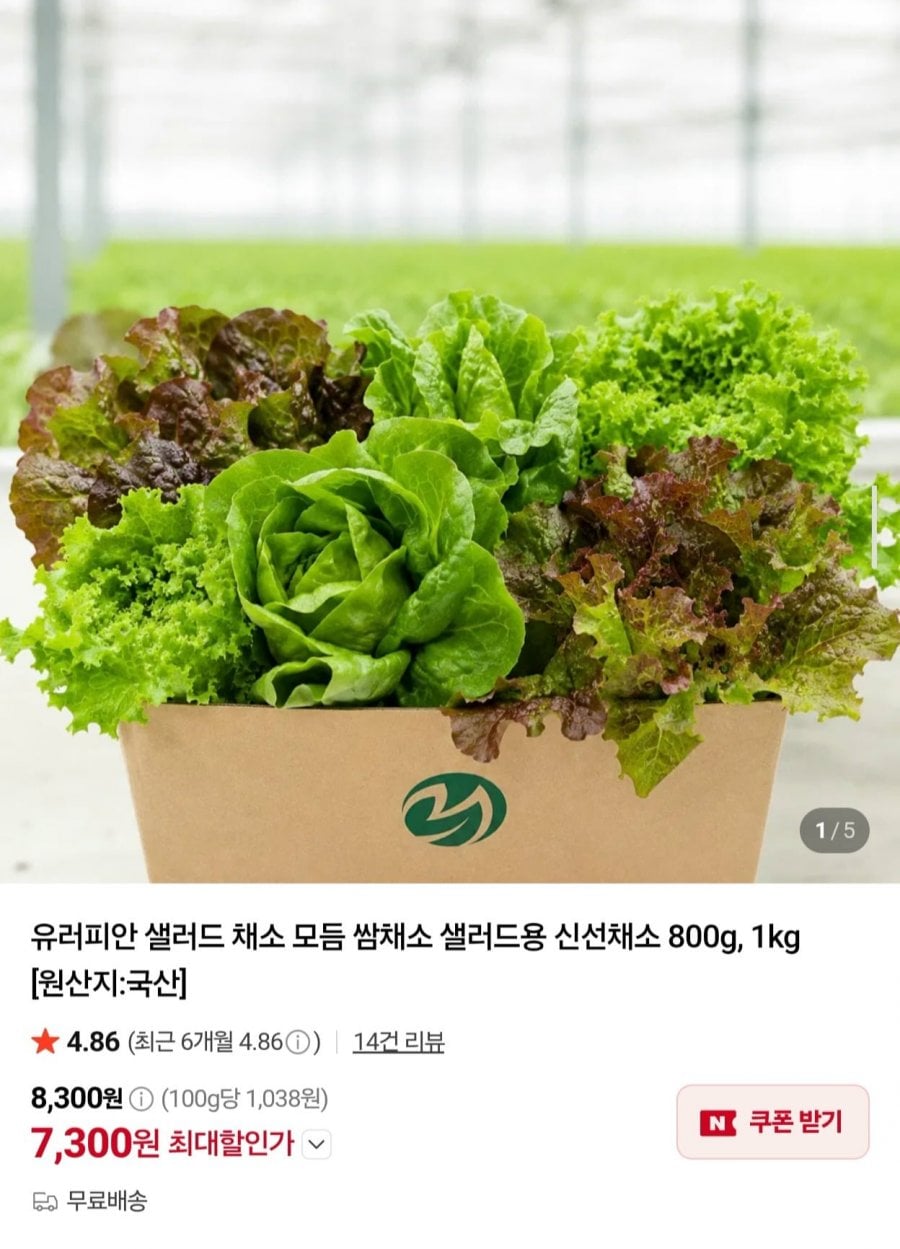 유러피안 샐러드 채소 모듬 쌈채소 1kg (8,300원/무료)