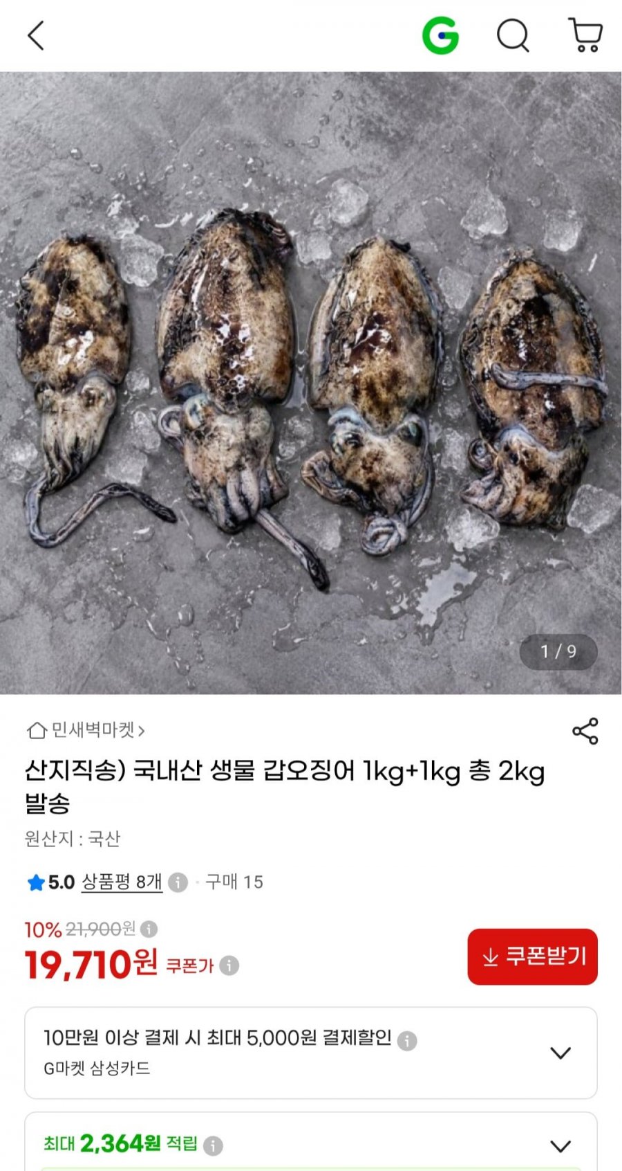 국내산 생물 갑오징어 2kg(19,710원/무료)