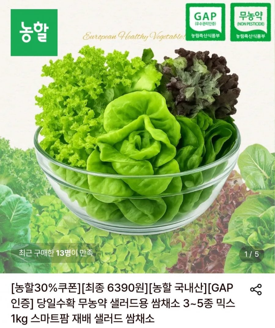 (끌올)무농약 샐러드용 쌈채소 3~5종 믹스 1kg (6,390, 무배)