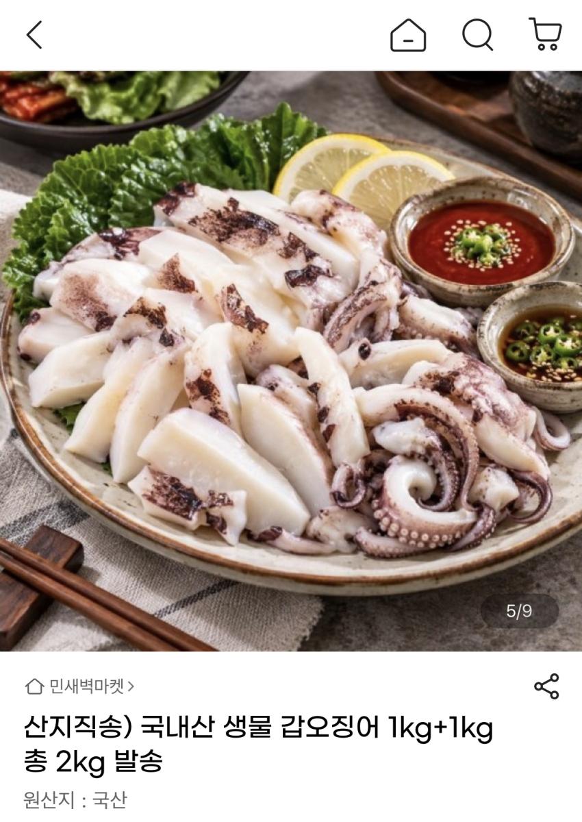 갑오징어 2kg 생물 19,710원
