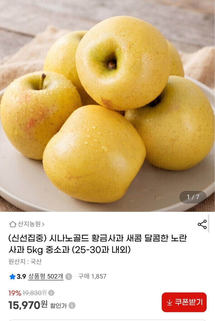 시나노골드 황금사과 5kg 중소과 (15,970원/무료배송)