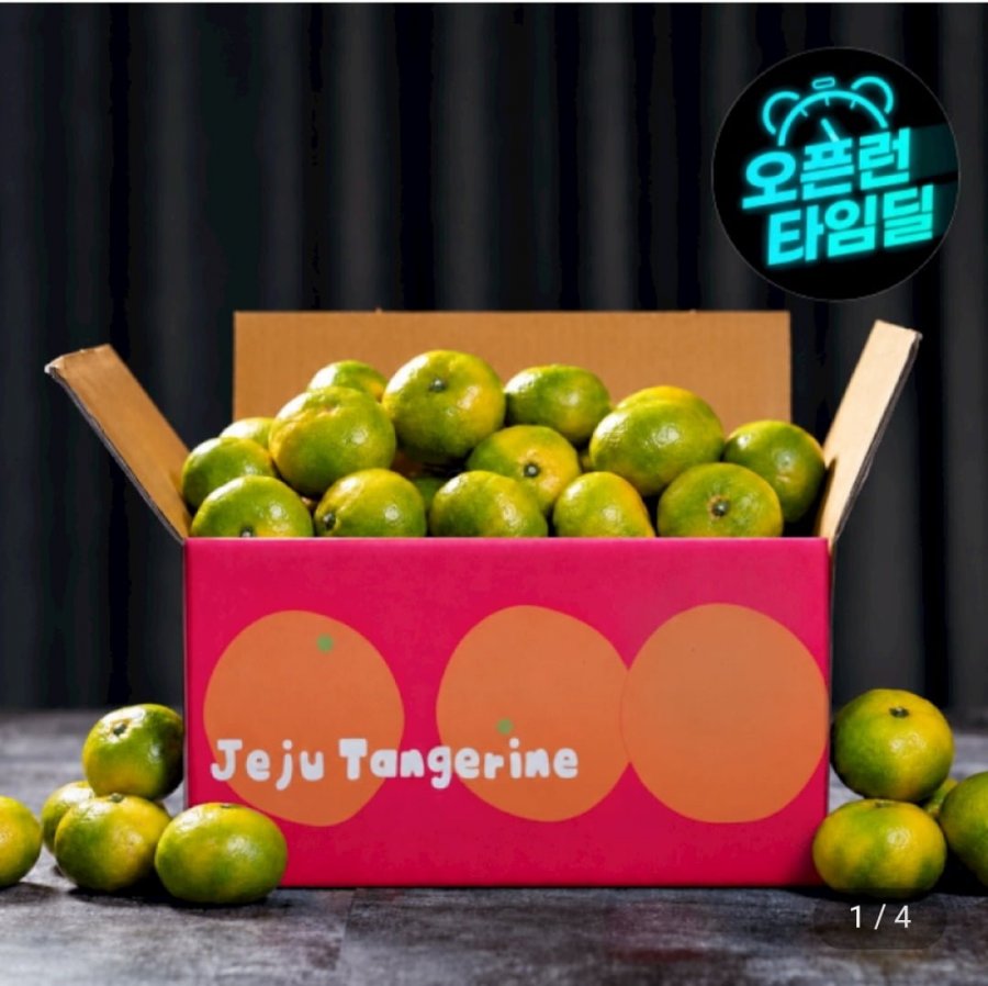 제주앤 극조생 감귤 4.5kg 소과(9,930원/무료1