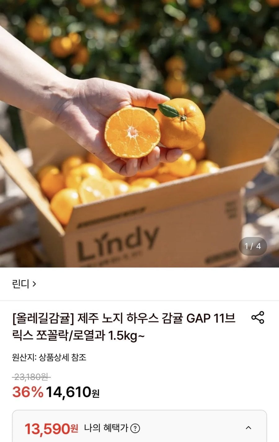 올레길 하우스감귤 2kg 중대과 L-2L (13,590원/무료)