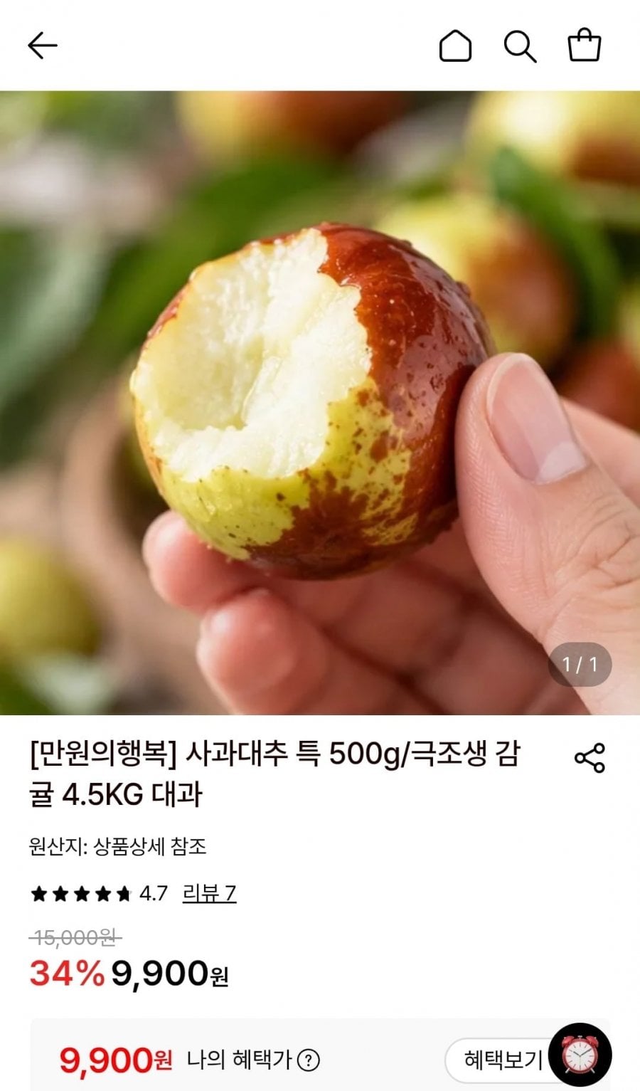사과대추 특 500g 외 1종 (9,900원/무료)