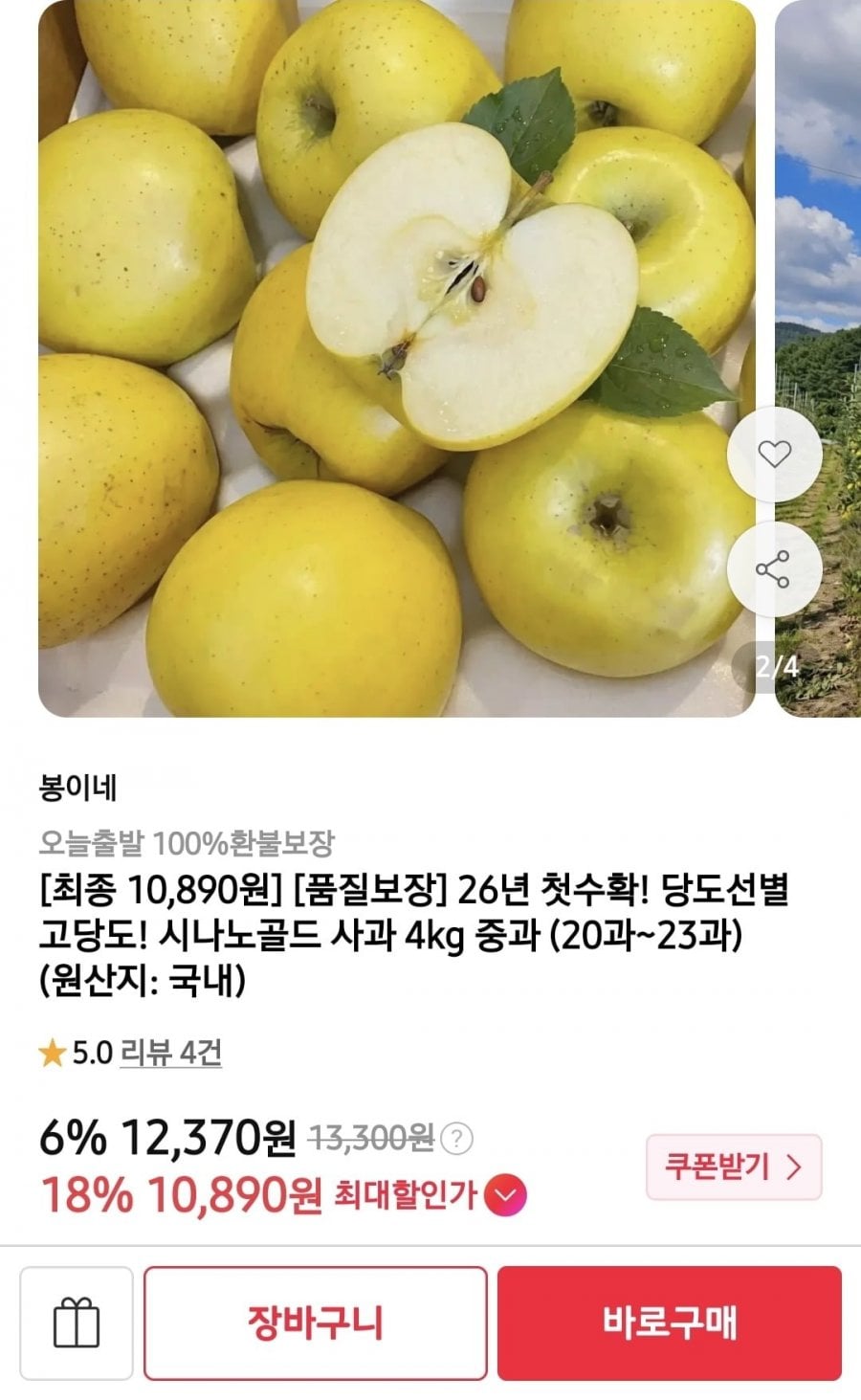 시나노골드 사과 4kg 중과 (20과) (카카페 10,890/무배)
