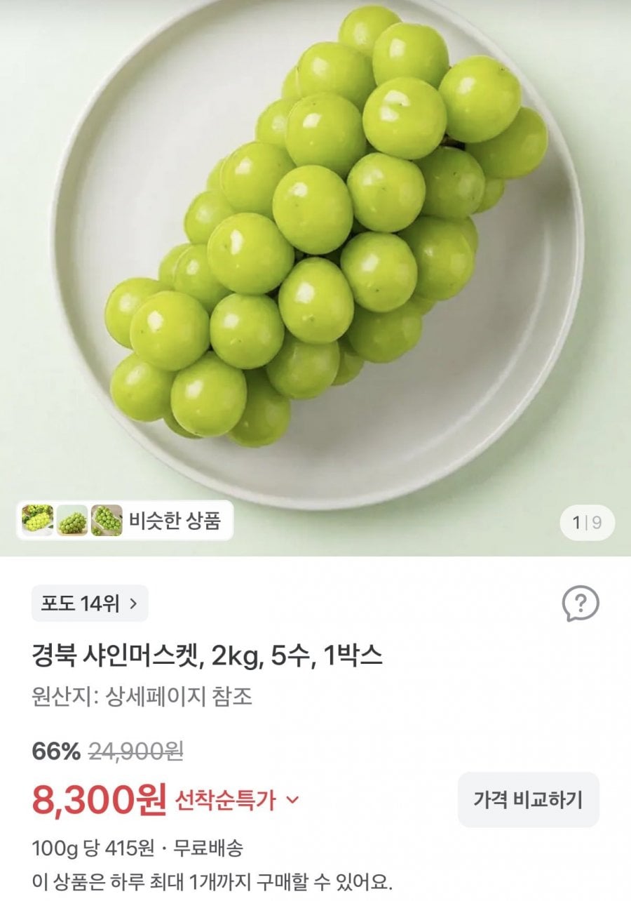 경북 샤인머스켓 2kg 5수 (8,300원/무료)