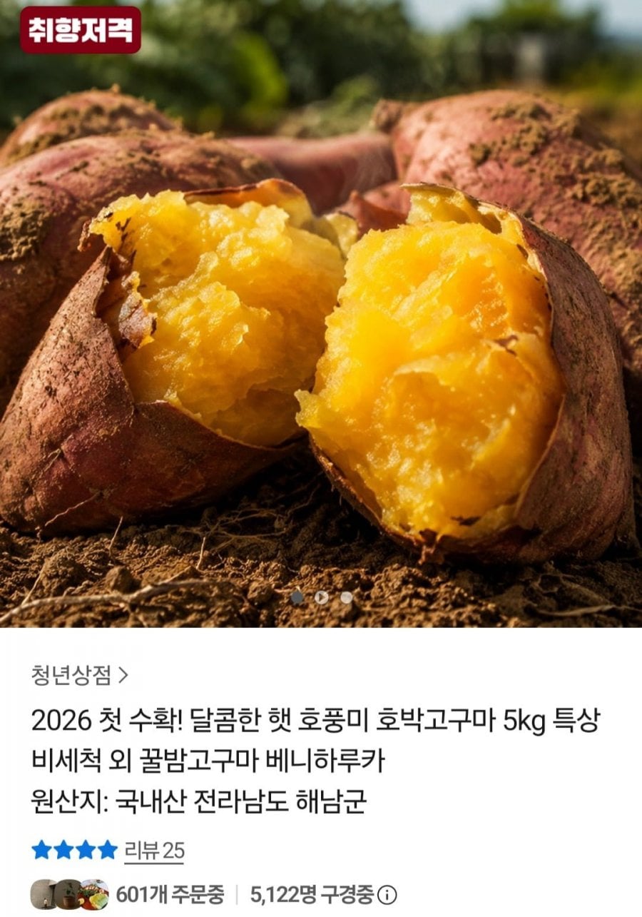 해남 베니하루카 호박고구마 5kg (15,960원 / 무료)