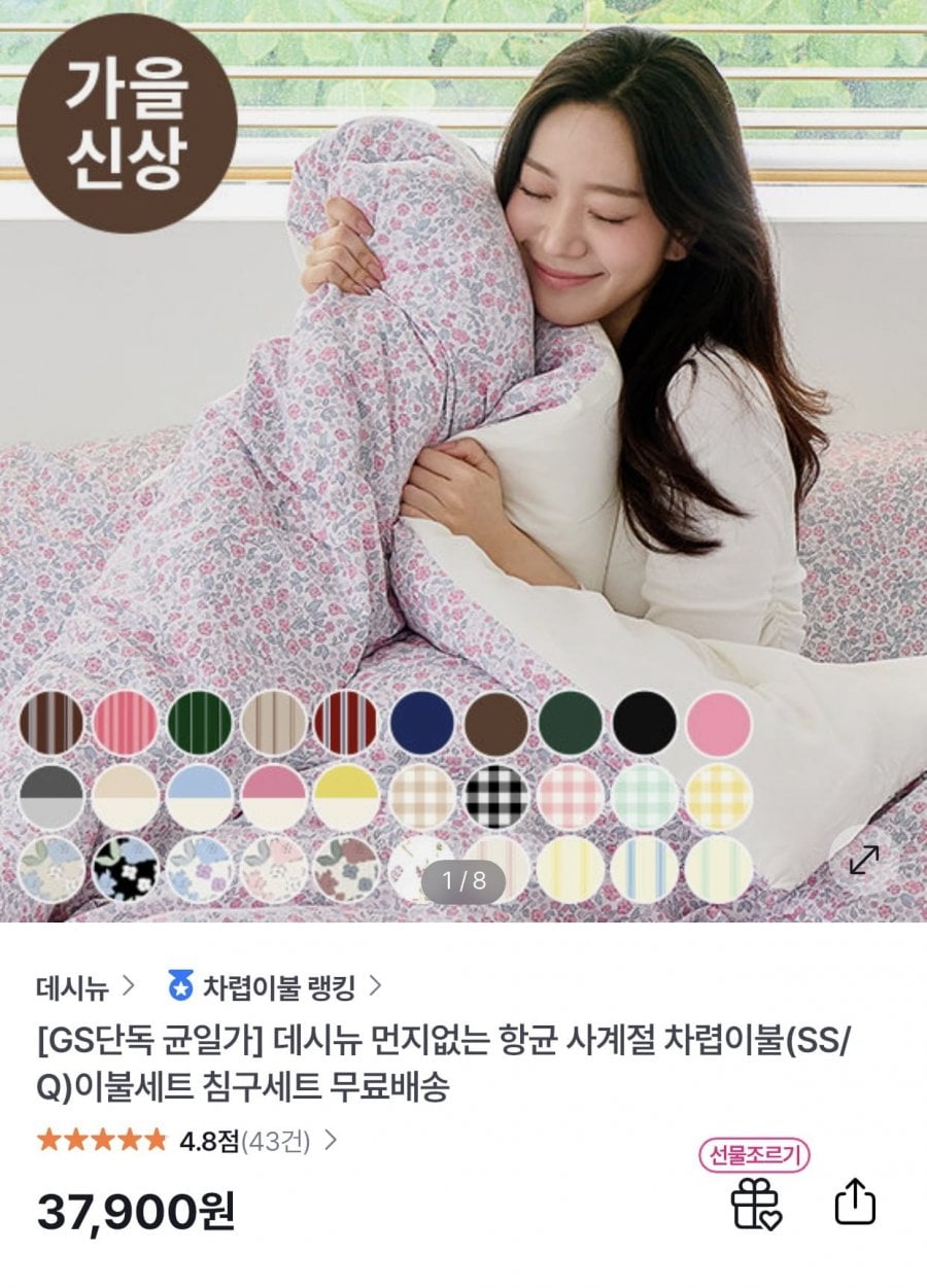 먼지없는 항균 사계절 차렵이불 베개커버(2개) 세트 (SS/Q) (37,900원/무료)