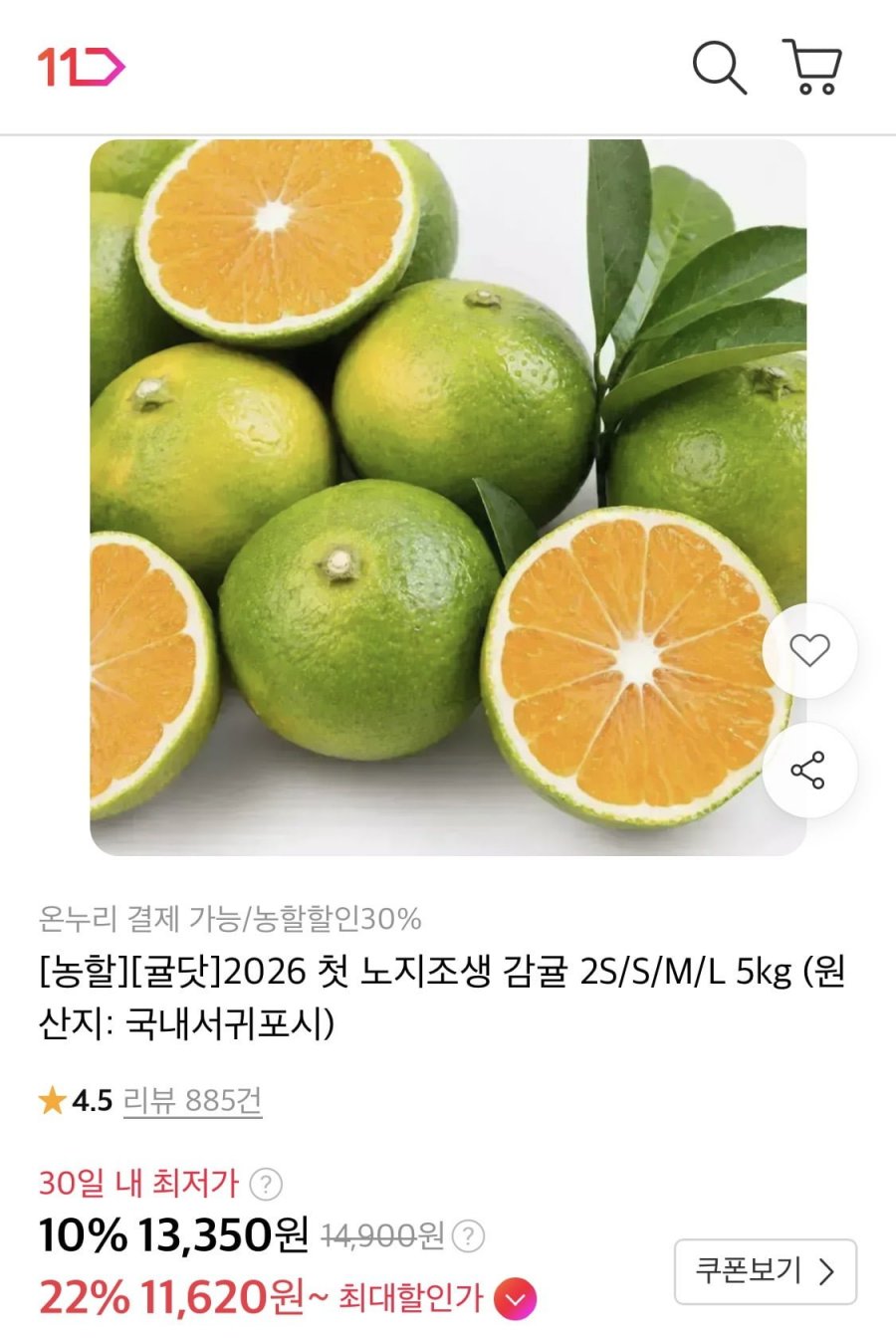 노지조생 감귤 중과 5kg (11,620원/무료)