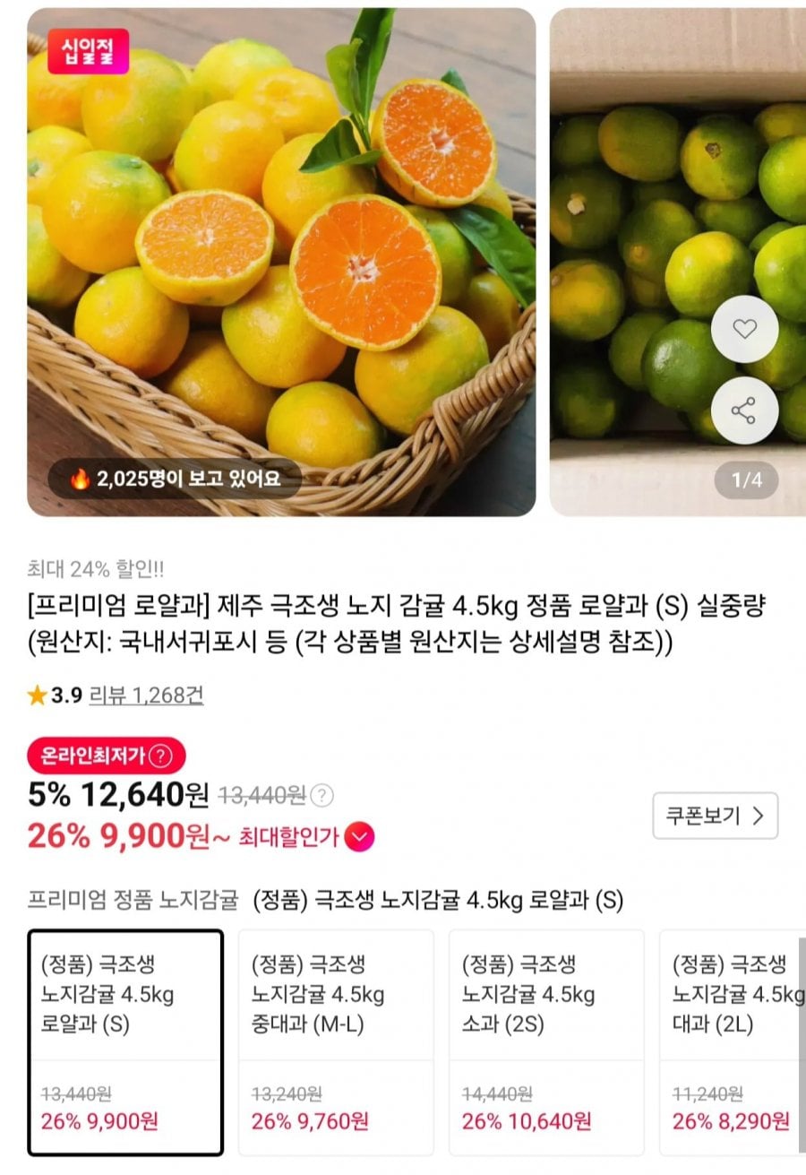 제주 극조생 노지감귤 로얄과 4.5kg (9,900원/무료)