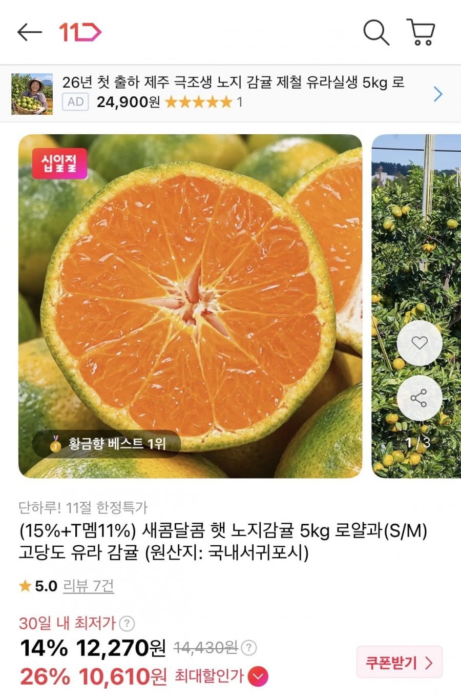 햇 노지감귤 5kg 로얄과 (10,610원/무료배송)