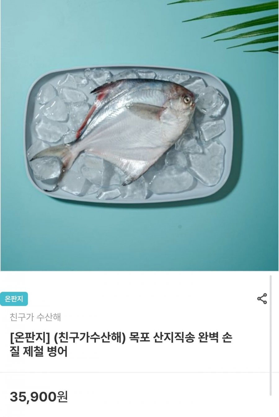 목포 산지직송 완벽 손질 제철 병어 소 200g 2마리(17,940원/무료배송)