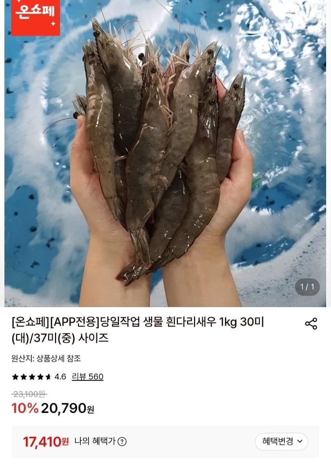 당일작업 생물 흰다리새우 1kg 30미 (19,490원/무료)