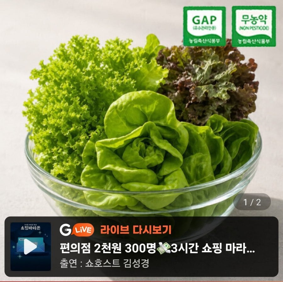 GAP 무농약 부여 유러피안 샐러드 유럽 채소 1kg (7,780원/무료)