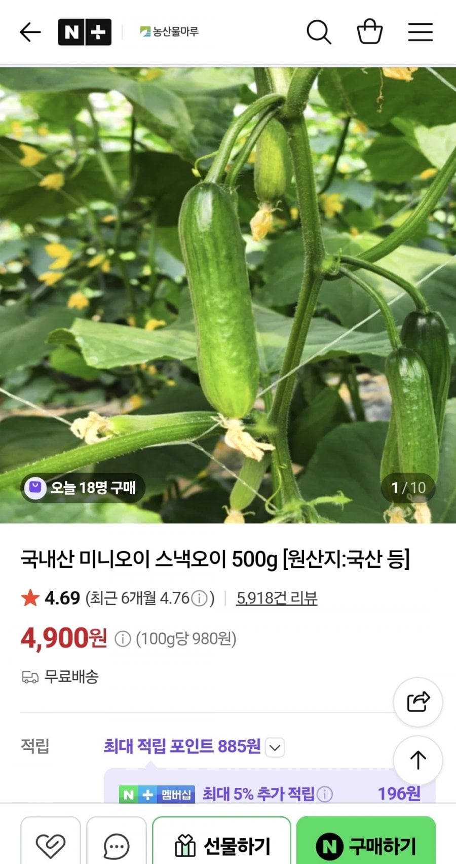 국내산 미니오이 스낵오이 500g (4,900/무배)