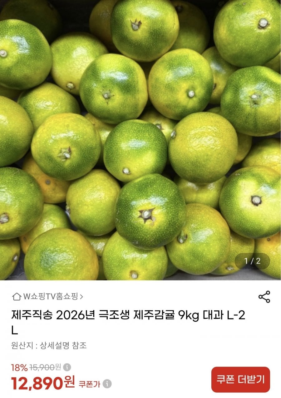 26년 제주직송 극조생 감귤 대과 9kg (12,250원/무료)