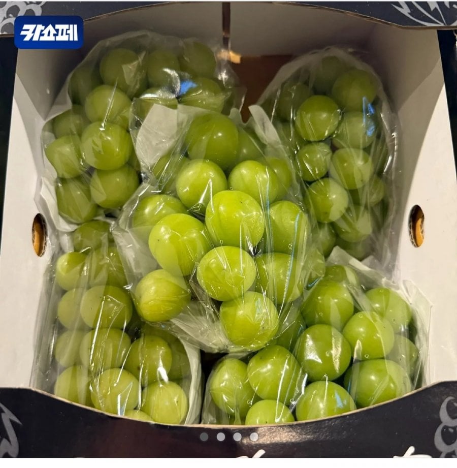 샤인머스켓/시나노사과/단감 2kg 각 (10,900원/무료)