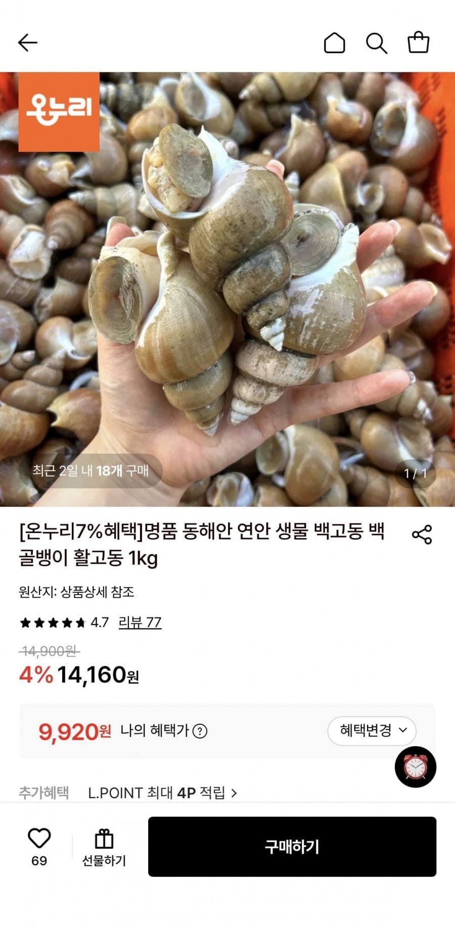 동해안 연안 생물 활 백고동 소소 1kg (55~65미) (9,920원/무료)